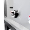 Aloma Double Gas Spaza Deep Fryer 2x21L