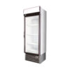 Staycold HD690F Single Door Display Freezer 690mm / 530L